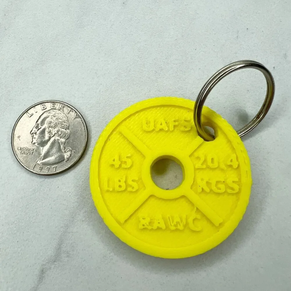 45 Lbs Weight Plate 3D Printed Keychain Keyring